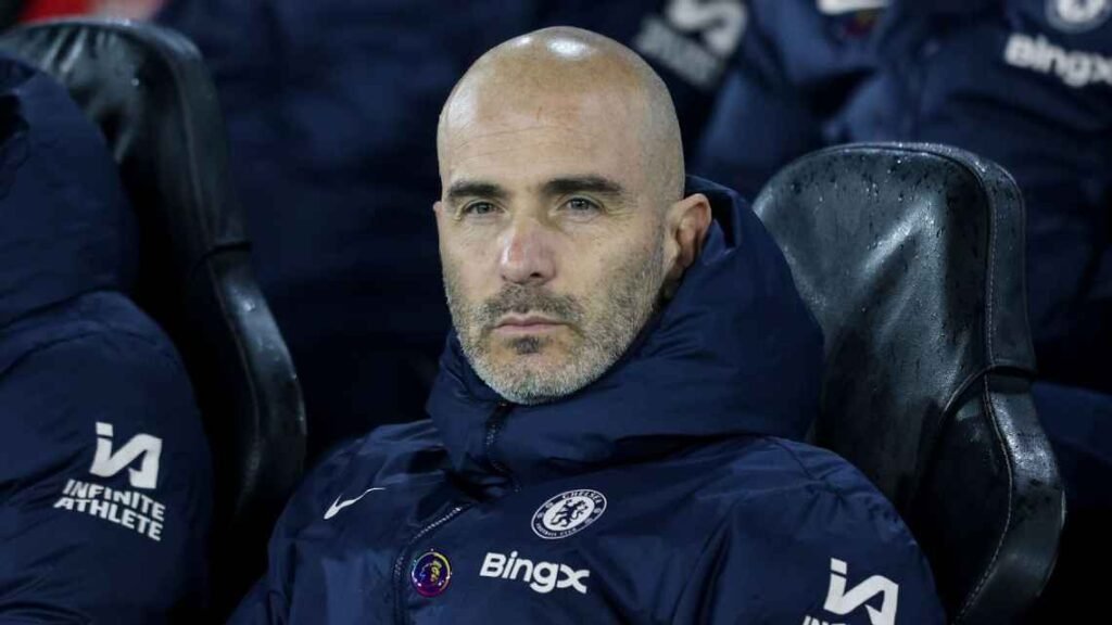 Enzo Maresca Chelsea